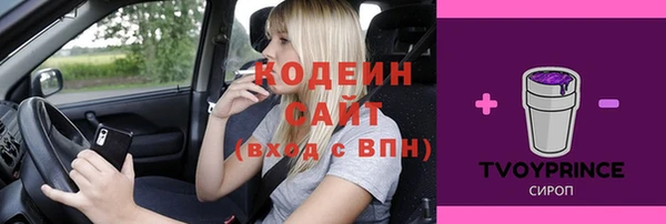 хмурый Белоозёрский