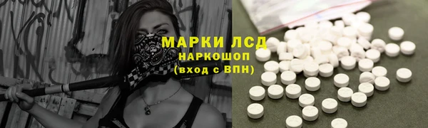 дурь Бородино