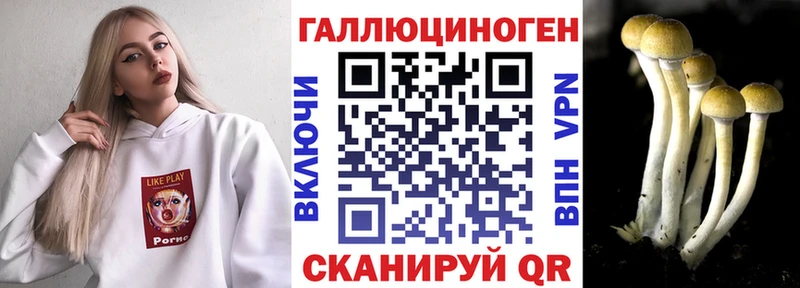 Галлюциногенные грибы GOLDEN TEACHER Будённовск